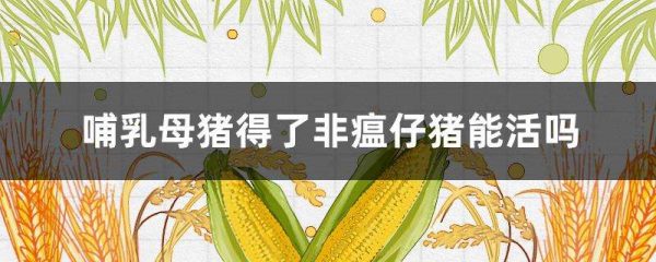 哺乳母猪得了非瘟仔猪能活吗？