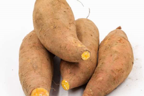 番薯是不是红薯