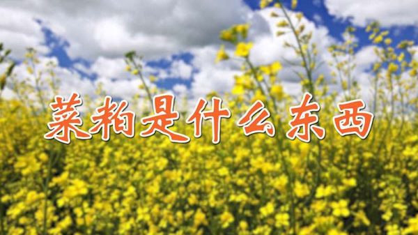 菜粕是什么东西