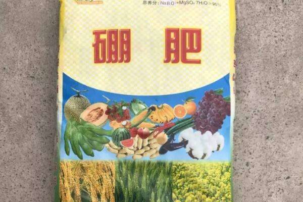 硼肥叶面喷施注意事项