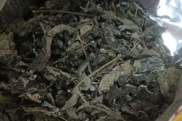 莓茶是什么茶叶