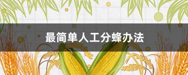 最简单人工分蜂办法