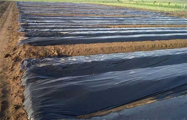 现在有哪些新型地膜