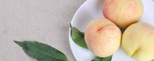 粉色的水果有什么水果