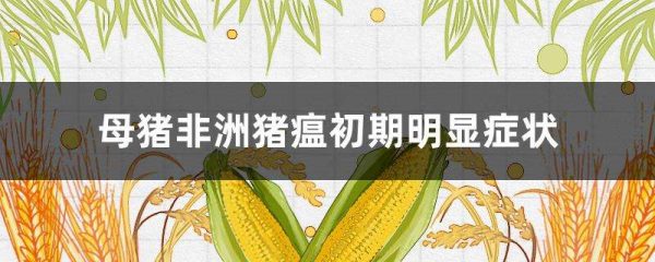 母猪非洲猪瘟初期明显症状