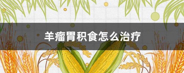 羊瘤胃积食怎么治疗