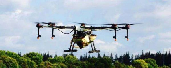 除草剂下了雨会失效吗？