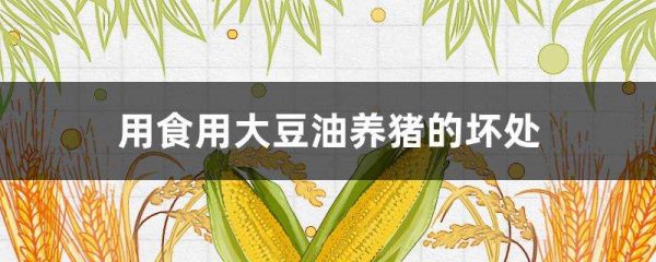 用食用大豆油养猪的坏处
