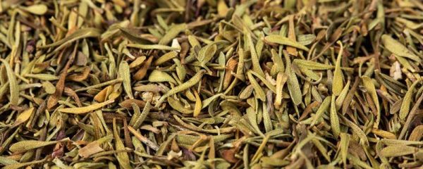 百里香是什么？