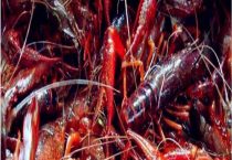 小龙虾清水养几天会死吗？