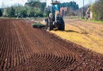 现在种什么药材最赚钱