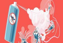 杀虫剂多久把虫杀死