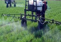 吡虫啉可以和磷酸二氢钾一起用吗？