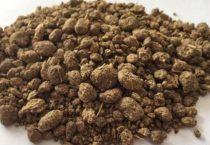 如何提高火鸡的产蛋率