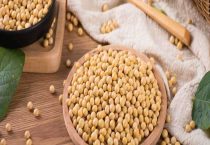 氰氟草酯对大豆有没有影响