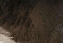 兔子屎能做养花肥料吗？