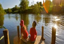 自制鲢鳙酸臭饵料配方