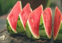 8424西瓜坐果几天可以成熟