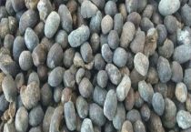 羊粪属于氮肥还是磷肥