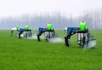 联苯菊酯的作用和用途