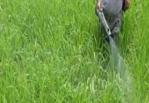 代森锰锌和多菌灵的区别？