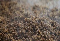 一吨湿酒糟烘干多少斤