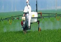 草甘膦除草剂对人体有害吗？