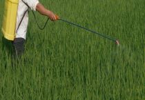 四霉素能防治哪些病