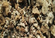 香油渣子如何做肥料