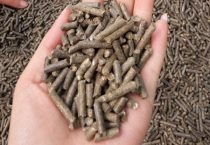 螃蟹养殖的五大关键措施