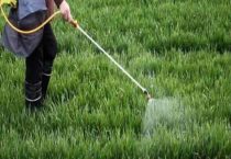 敌敌畏是禁用农药吗？