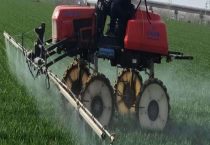 草甘膦除草剂打完了几天见效