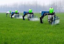 高氯甲维盐治哪些害虫