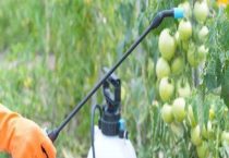 王铜农药主治什么？