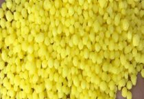 水田淹水期不适用哪种氮肥