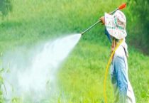 敌敌畏和百草枯一样吗？