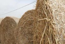 小麦秸秆是塑料吗？