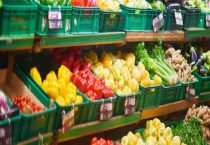 有机农业种植技术