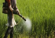 代森锌和代森锰锌的区别？