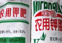 钾肥的作用及功能