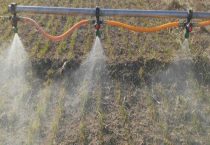 敌草快和草铵膦的区别？