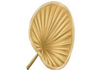 扇子是什么植物的叶子