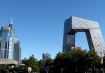 雏鸭饲养管理技术