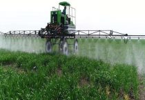 多菌灵的作用和用途正确使用多久？