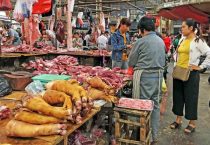 什么市场缺少农村