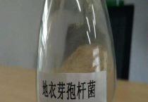 地衣芽孢杆菌对植物有什么作用