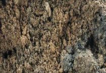 鸡粪的成分与含量是多少？