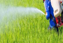 吡虫啉是酸性农药吗？