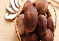 种植什么最赚钱