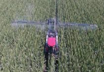 丙森锌和代森锰锌哪个好？